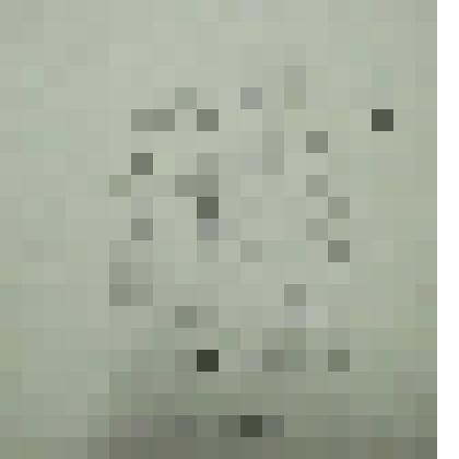 Жрица. Благородные гречанки, из альбома "Зарисовки из римской истории". Рисунок