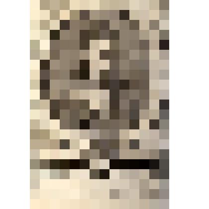 Benoit XIII. Ursini. (Бенуа XIII. Урсини.) - гравюра из книги: Recueil des portraits des hommes illustres. T. VIII. (Сборник портретов знаменитых людей. T. VIII.) - на франц. яз