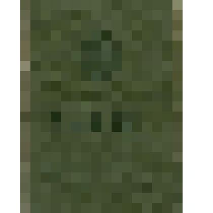 Паспорт Сарлиной Федосьи Ивановны 1886 года рождения, XXI - ИЛ №651309, выдан Абаканским ГОВД Красноярского края 05.05.1969 г