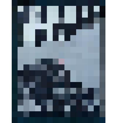 Книга «Последний штурм»