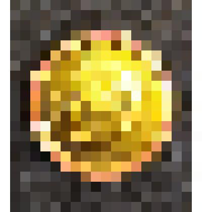 Значок круглый портретный, из коллекции фалеристической "Лениниана"