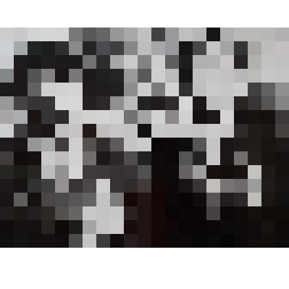 Фотография "Ветераны"