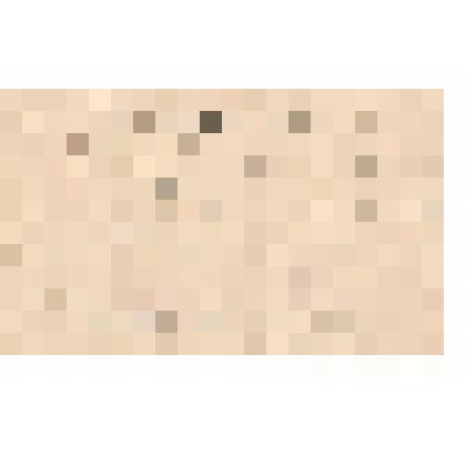 Документ. Билет делегатский № 267 Лапотышкина А.В