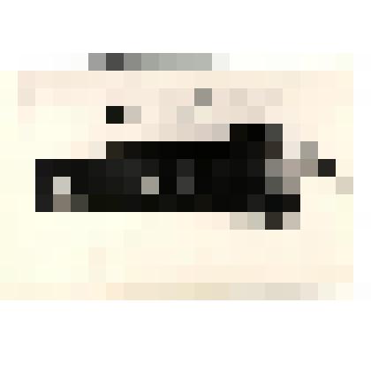 Уэленская школа 1932 г. Фотография черно-белая