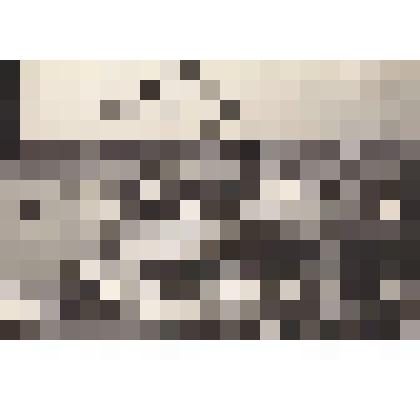 Фотография. Иван Петрович Павлов на пароходе