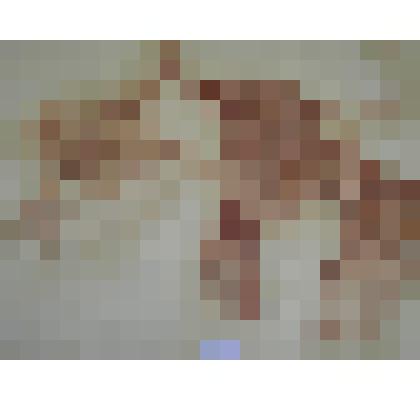 "Аксакалы. Портреты двух мужчин"