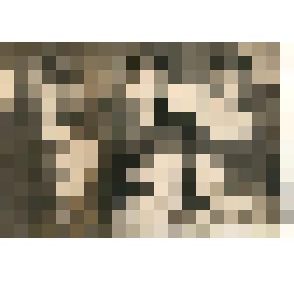 Фото. Работники ЭГ№3187 г. Махачкалы