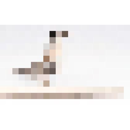 Чайка - крачка