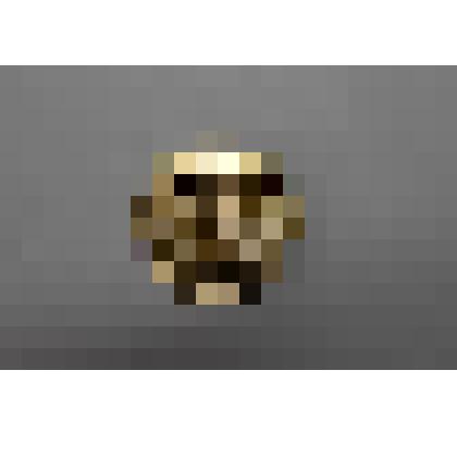 Памятная медаль
«Петродворец  
Эрмитаж»