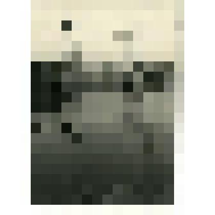 Фотография. Двухконсольные краны