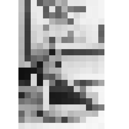 Фотография ч/б