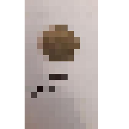 Монета 10 копеек. юбилейная