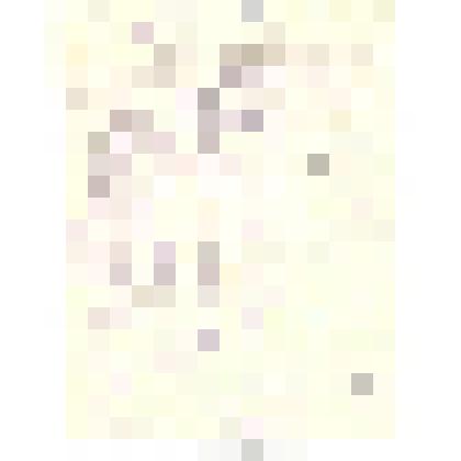 Воспоминания Богомяковой Т.В. о становлении Каменского краеведческого музея