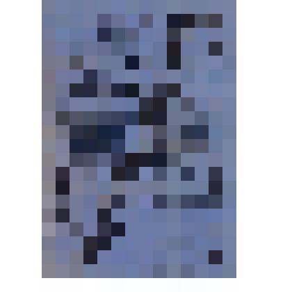 Афиша любительского спектакля в пользу Минусинскаго Добровол. Пожарнаго О-ва «Правда - хорошо, а счастье лучше» (комедия А.Н. Островского), спектакль состоялся 2 ноября 1908 г