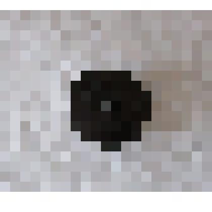 Емкость для пленки 35мм, 350 куб. см