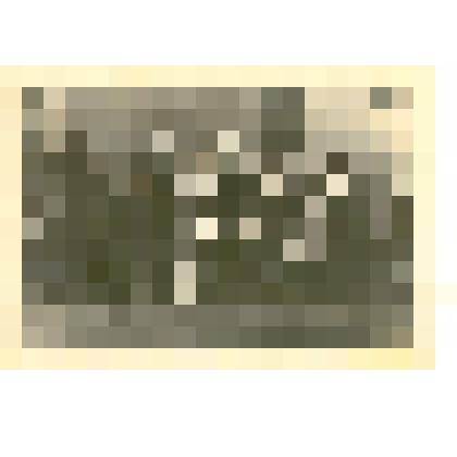 Фотография: работники Каменского городского отдела переписи населения 1959 г