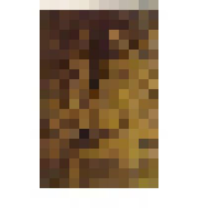 Клише. Фотография Донова В.С. для проспекта выставки