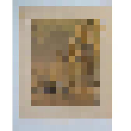 Новая Москва