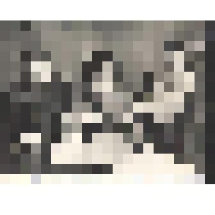 Фотографии. Фото. Надина Т.П. (справа) с коллегами - заслуженными учителями РСФСР Трасковой А.Ф. и Лютиковой С.Г