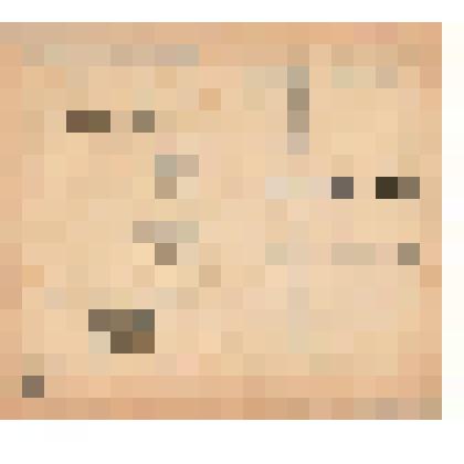 Документ. Программа к спектаклю "Гордячка" по пьесе Т.Яна Кинешемского драматического театра имени А.Н.Островского.   Из коллекции материалов по истории Кинешемского драматического театра им. А.Н. Островского (1920-е гг. -1990-е гг.)