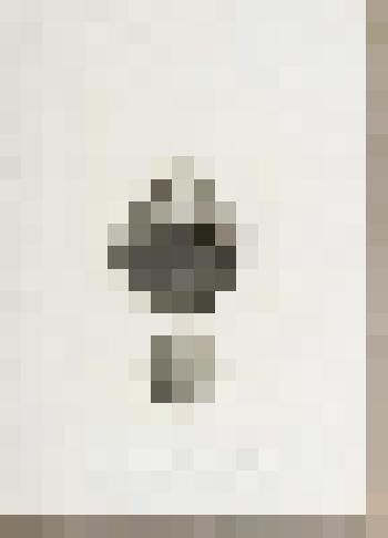 Портрет А.И. Глазунова. Портрет-заметка его бабушки А.И. Глазуновой