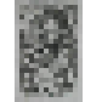 Портрет [Энтони] Эшли - Купера, [III] графа Шефтсбери, философа, писателя