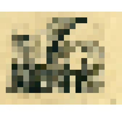 Руины Большого дворца