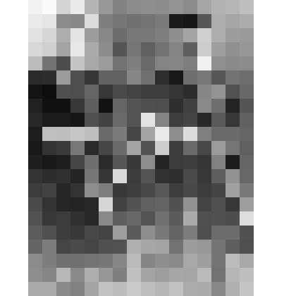 Пионервожатые Белорецка