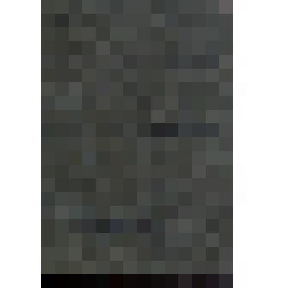 Книжка членская № 19638. профессиональный союз работников железнодорожного транспорта СССР