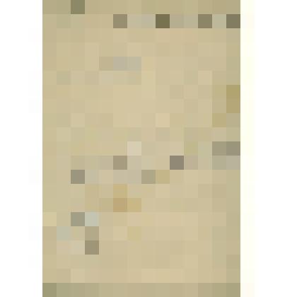 Рукопись. Описание сельско-хозяйственных районов Сольвычегодского уезда с естественно-исторической и хозяйственно-экономической точки зрения