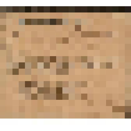 Документ. Делегатский билет № 55 Сазонова Алексея Васильевича, делегата от Тамбовского округа на Всероссийский съезд почтово-телеграфных служащих, стоящих на платформе "Вся власть Советам"