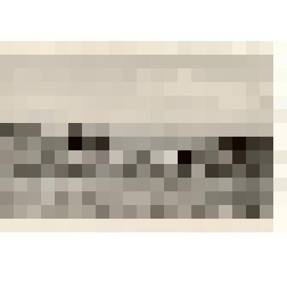 Фотография: сгребание сена тракторными граблями в колхозе "Родина" Каменского района Алтайского края