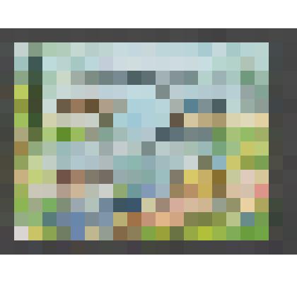 Квартблок. Серия "Фауна России. Черепахи"