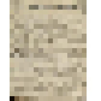 Газета. Русское знамя. № 264 (2 л.;)