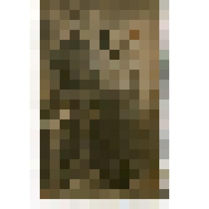 Фотография групповая. Алексей Петрович Шигаев (боец 24-й Железной дивизии, участник установления советской власти в Алатырском уезде) с женой