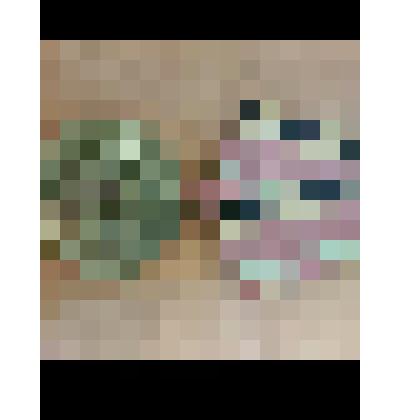 Юбилейная медаль XXX лет Победы в ВОВ 1941-1945 г.  Игнатьева Ю.И