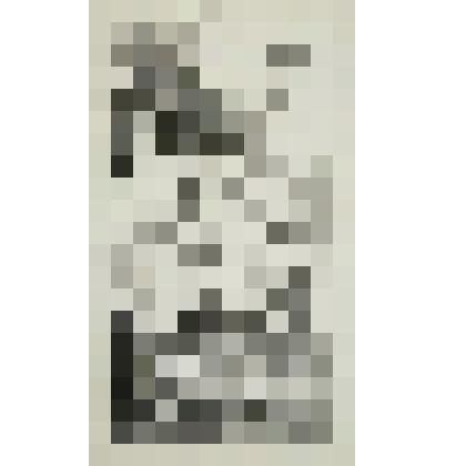 Монтаж памятника. Гравюра