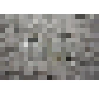 Монета "5 рублей"