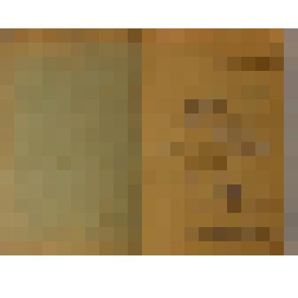 Трудовая книжка колхозника - Шаповалов Григорий Григорьевич 1950 года рождения