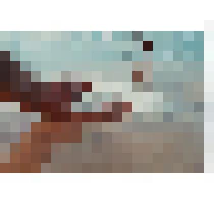 Ф/цв. Экспедиция на озеро Эльтон: эльтонская соль в ладони. Волгоградская обл. 2003