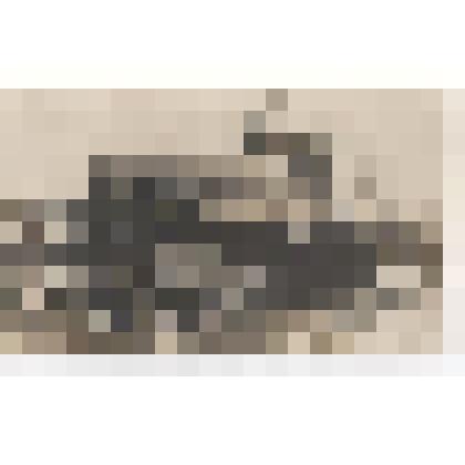 ПЛ "АГ" на стапелях в ремонте. Фотография