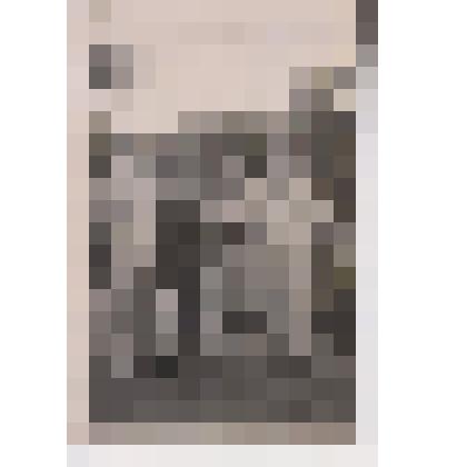 Фотография групповая " В городском саду "