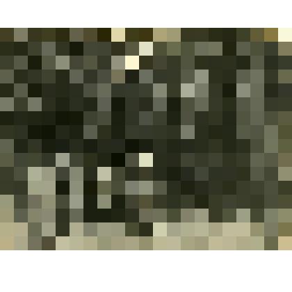 Фотография. Дом Чижовых, № 13 улица Каширская село Дьяковское