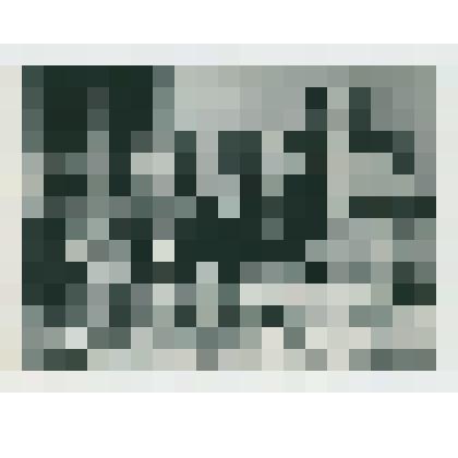 Фотография. Сотрудники музея: Озерова Э.В., Суздалев В.Е., архитектор Свешников Н.Н., Бродская А.А., Морозова