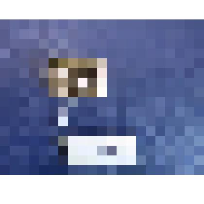 Значок "Лыжня зовет"