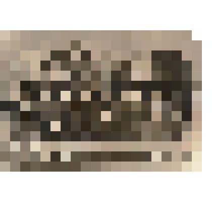 Ф/чб. 6-й класс неполной средней школы № 25 г. Энгельс (группа учеников, 2 ряд слева Резниченко Г.П.). 1947