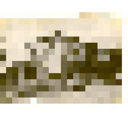 Фотография: здание мастерской артели "Швейник" г.Камень-на-Оби Алтайского края