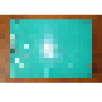 Альбом "Башкирская опытная станция пчеловодства 1930-1980 гг"