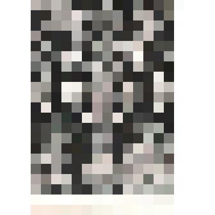 Иллюстрация. Таблица № 95. Выпуск "19-20".
 Из комплекта таблиц "Красота форм в природе"