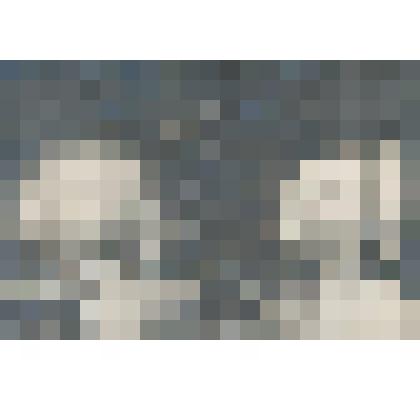 Фермерский дворец. Кабинет Александра II. Общий вид северо-восточной части